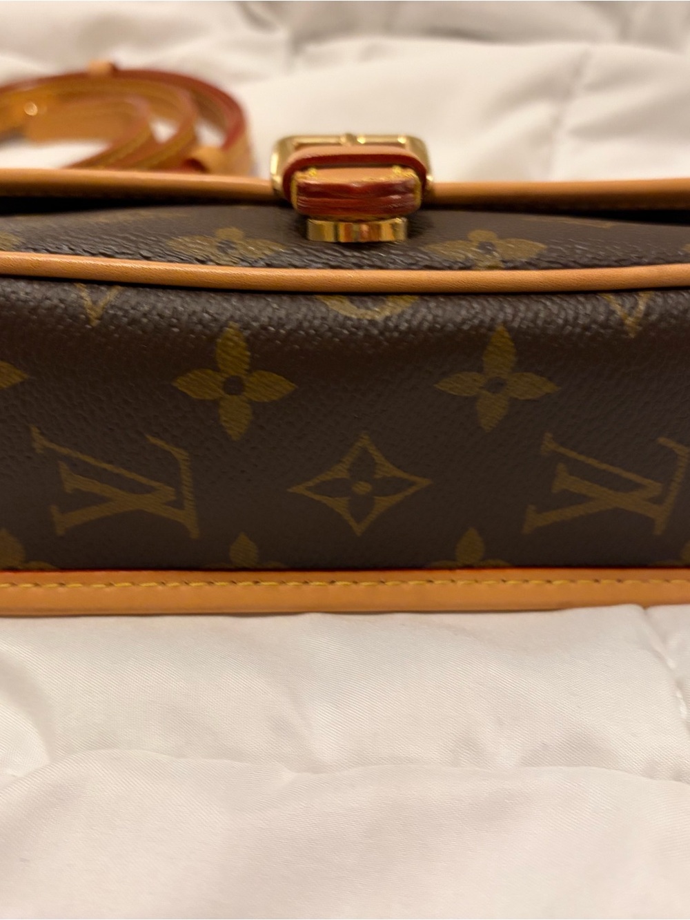 Louis Vuitton Monogram Nano Diane - Picture 6 of 13
